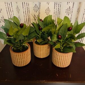 NWT Plants- 3 Elegant Decorative Ceramic Pots w/Potted Faux Olive Trees w/Olives